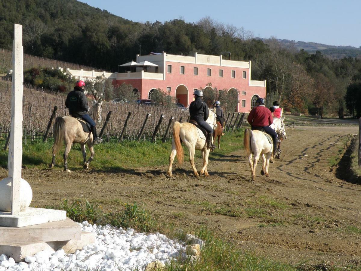 Tenuta Il Sassone - Wine&Food Massa Marittima Dış mekan fotoğraf