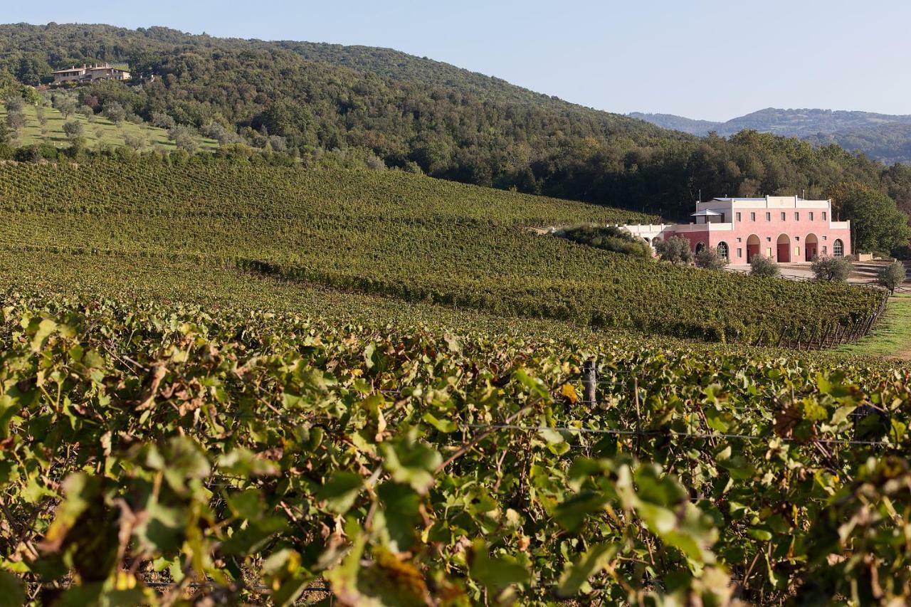 Tenuta Il Sassone - Wine&Food Massa Marittima Dış mekan fotoğraf